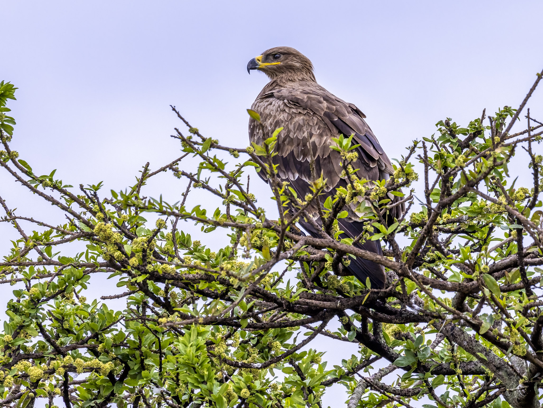 November 15, 2022-075018-2-Edit.jpg